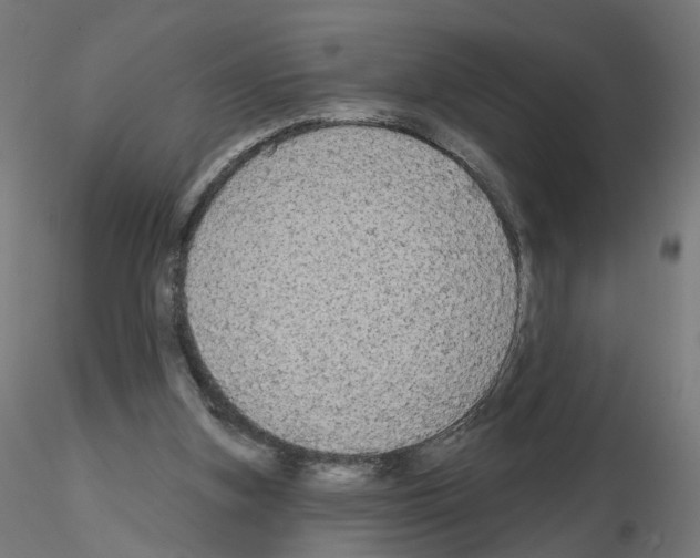 X0000115550155200912181601