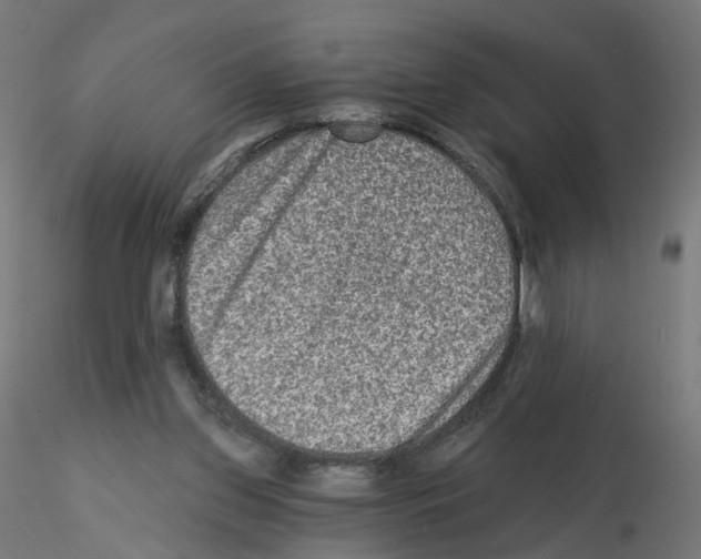 X0000115550157200912181601