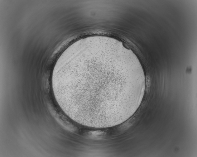 X0000115550158200912181601