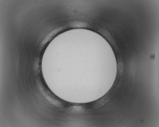 X0000115550159200912181601