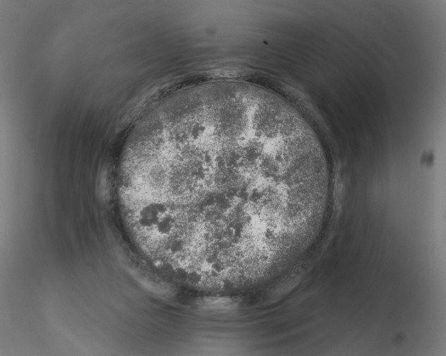 X0000115550161200912181601