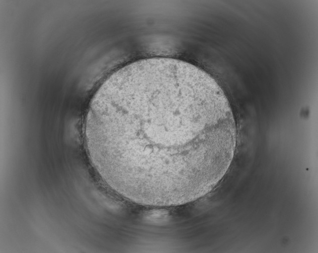 X0000115550162200912181601