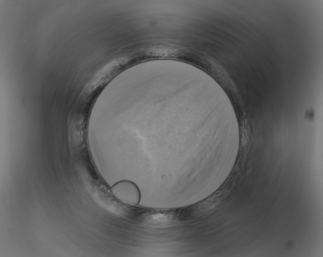 X0000115550163200912181601