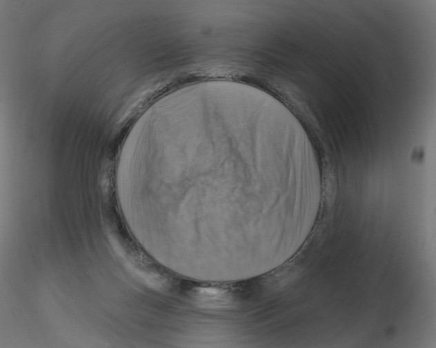 X0000115550167200912181601