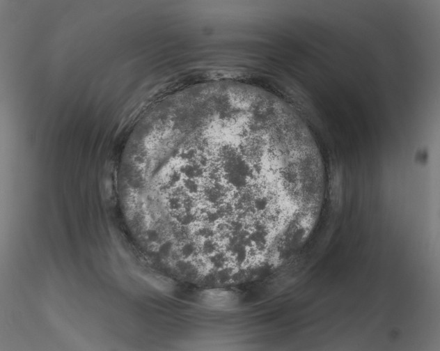 X0000115550169200912181601