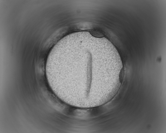 X0000115550170200912181601