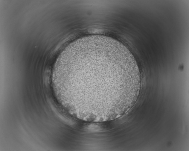 X0000115550171200912181601