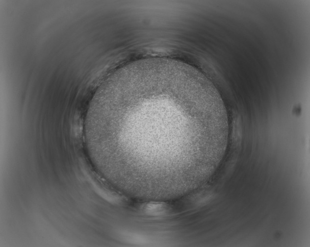 X0000115550173200912181601