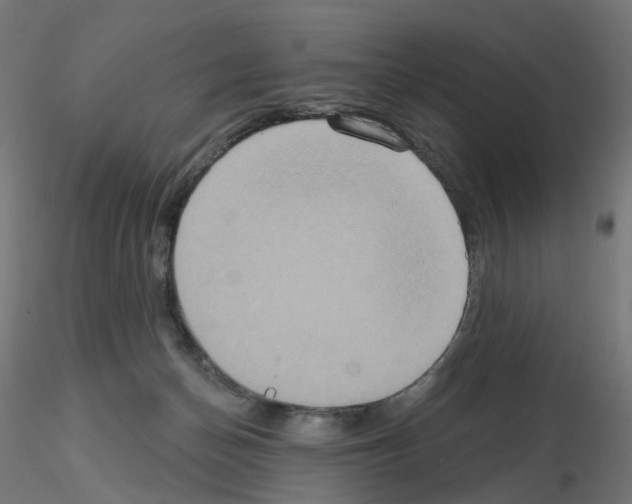 X0000115550174200912181601