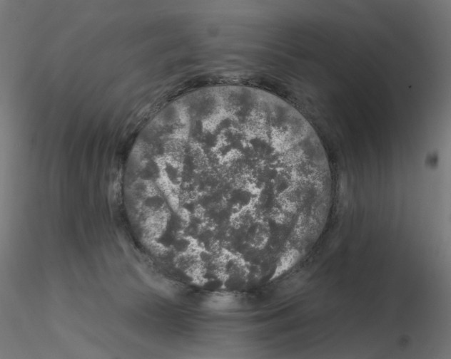 X0000115550177200912181601