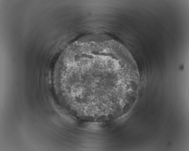 X0000115550182200912181602