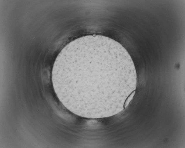 X0000115550183200912181602