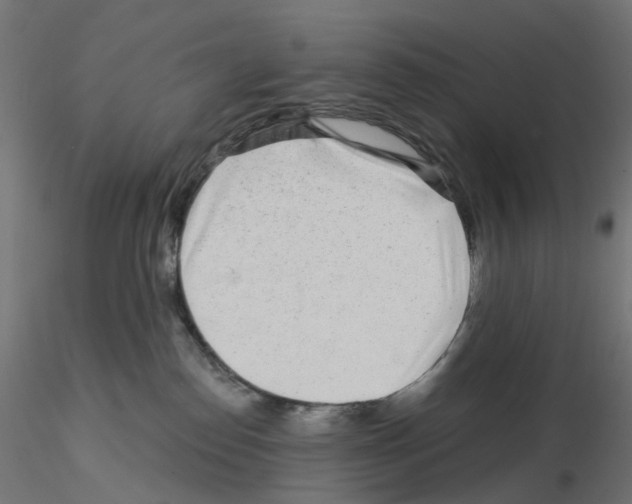 X0000115550186200912181602