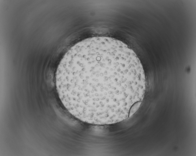 X0000115550187200912181602