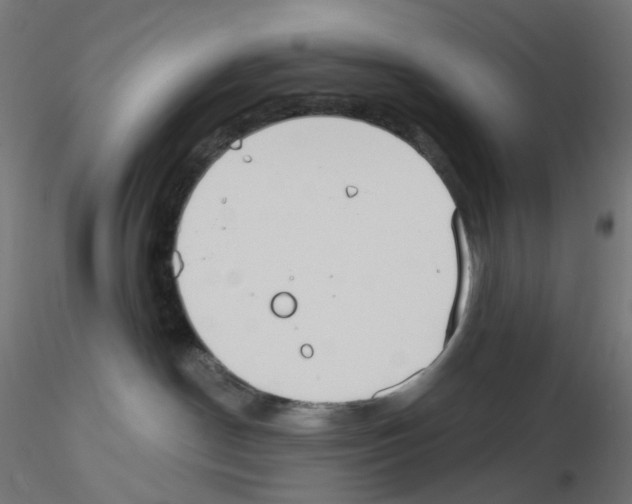 X0000115550190200912181602