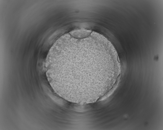 X0000115550191200912181602