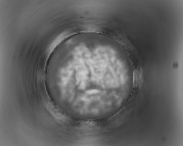 X0000115550195200912181601