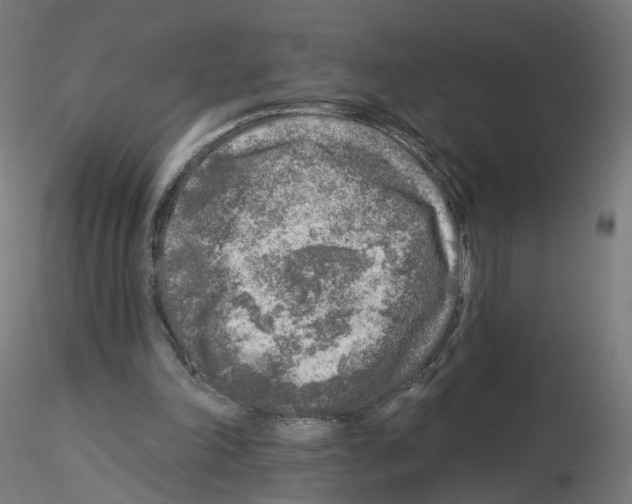 X0000115550198200912181601