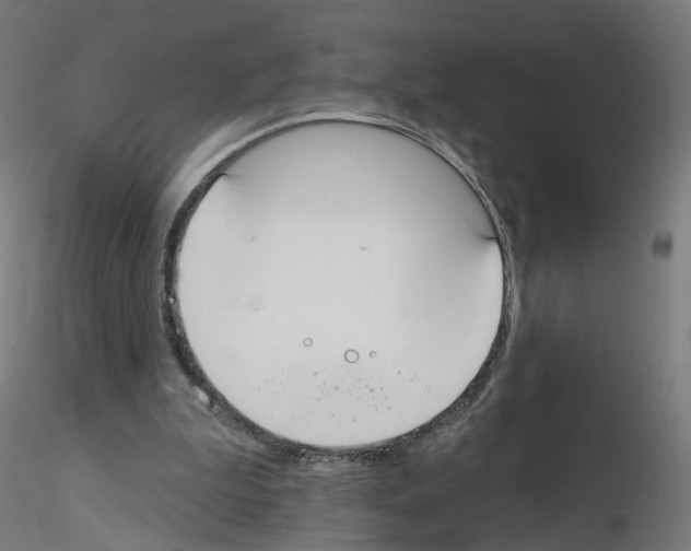 X0000115550199200912181601