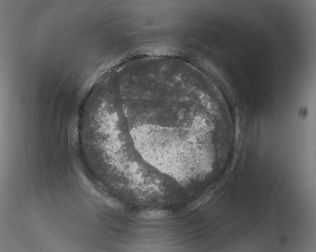 X0000115550202200912181601