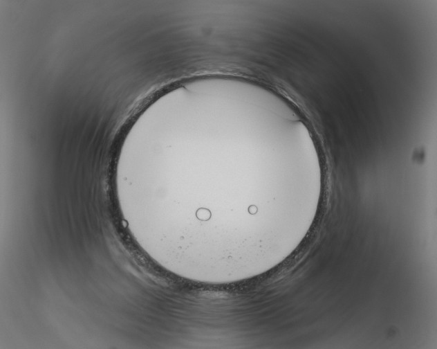 X0000115550203200912181601