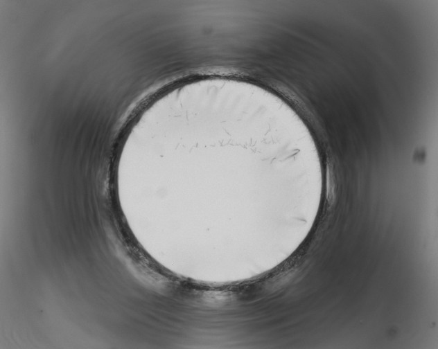 X0000115550204200912181601