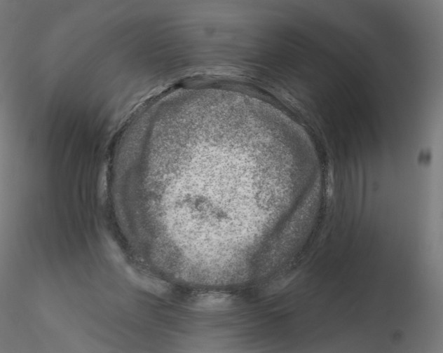 X0000115550206200912181601