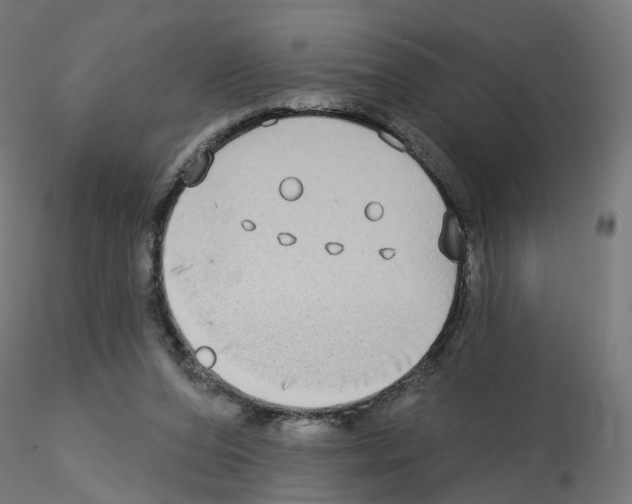 X0000115550208200912181601