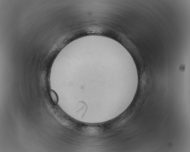 X0000115550209200912181601