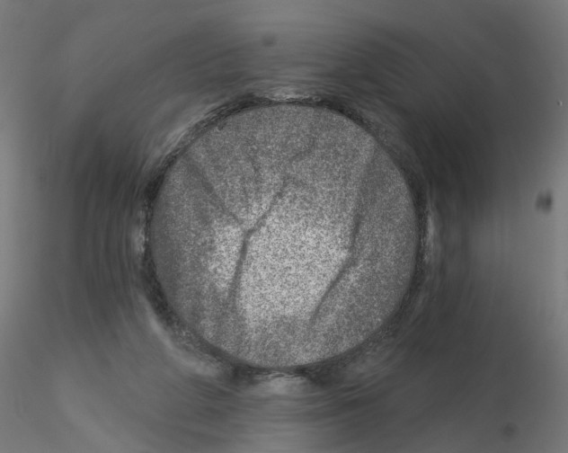 X0000115550210200912181601