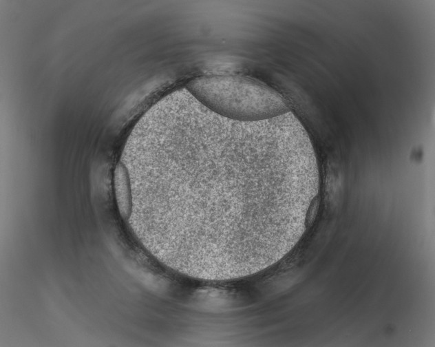 X0000115550211200912181601