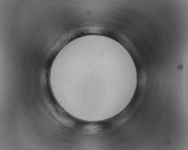 X0000115550213200912181601