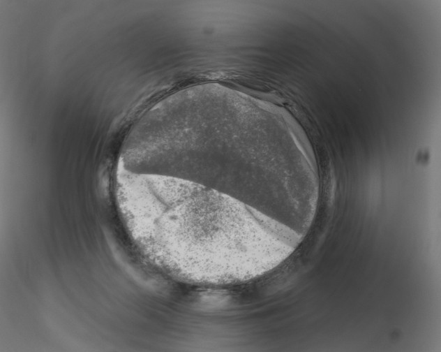 X0000115550214200912181601