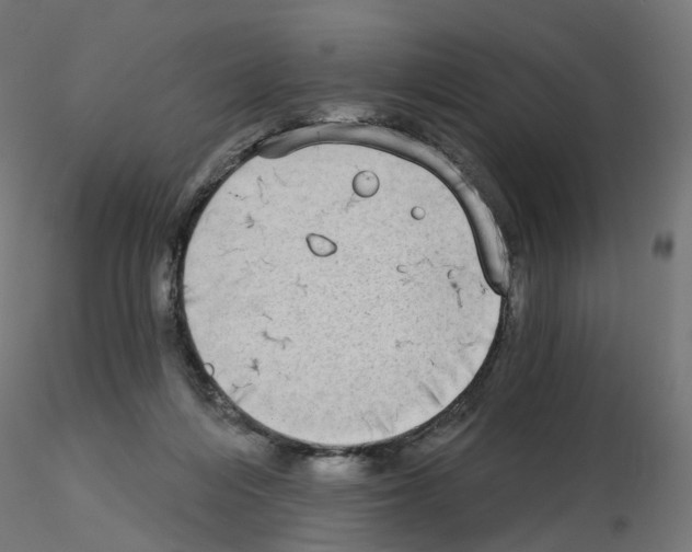 X0000115550216200912181601