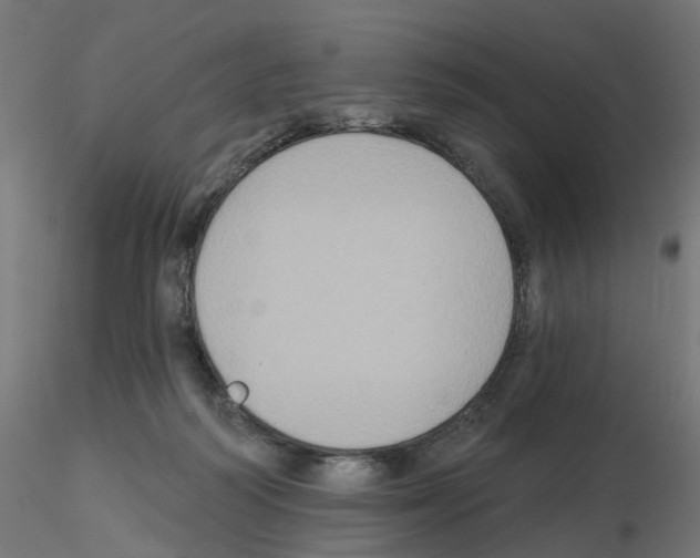 X0000115550218200912181601