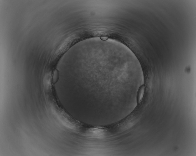 X0000115550219200912181601