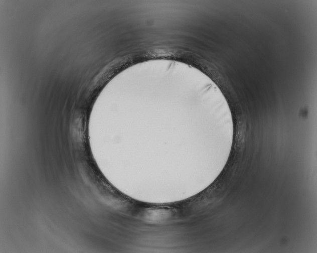 X0000115550220200912181601