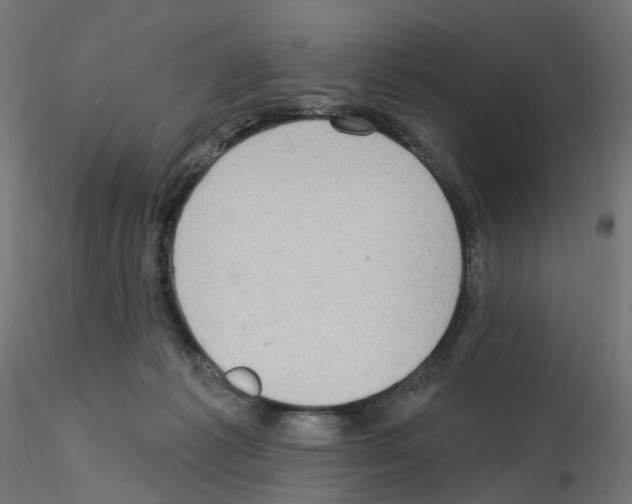 X0000115550221200912181601