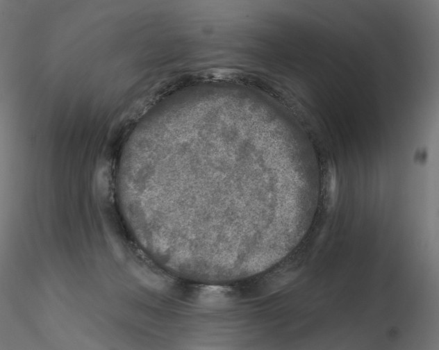 X0000115550222200912181601