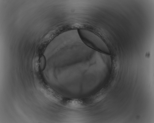 X0000115550223200912181601