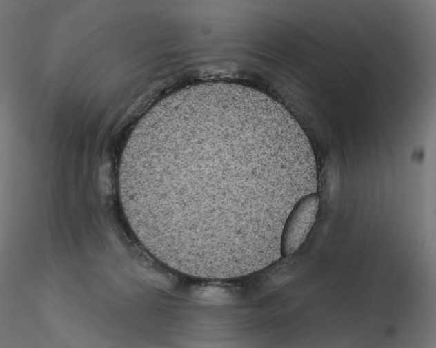 X0000115550224200912181601