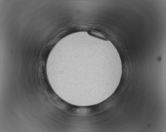 X0000115550225200912181600