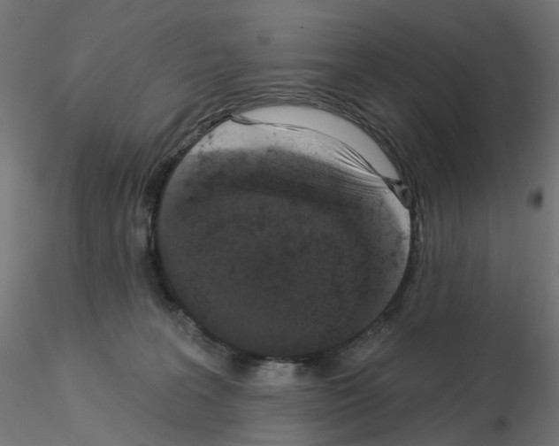 X0000115550227200912181600