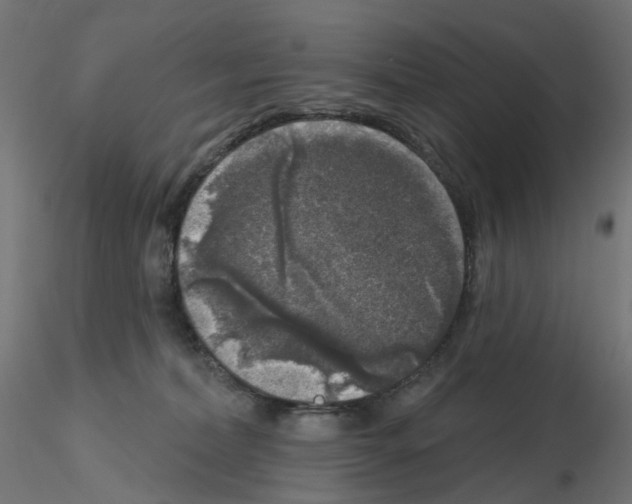 X0000115550228200912181600