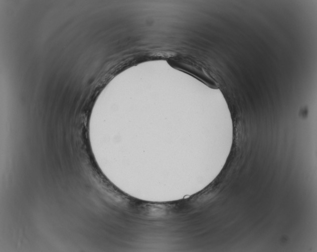 X0000115550229200912181600