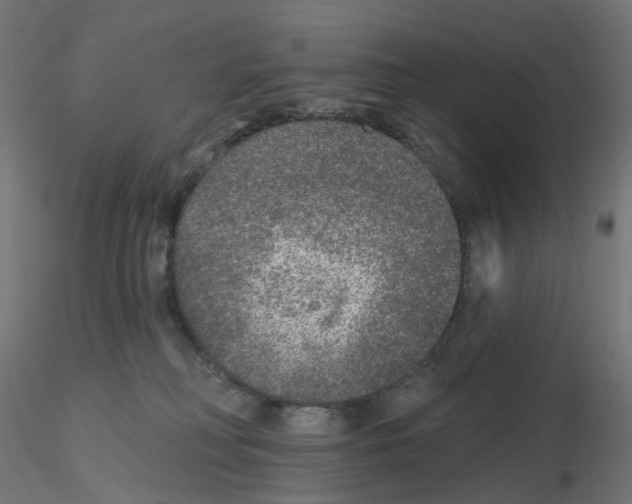 X0000115550230200912181600