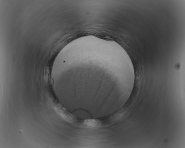 X0000115550231200912181600