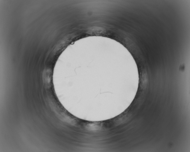 X0000115550232200912181600