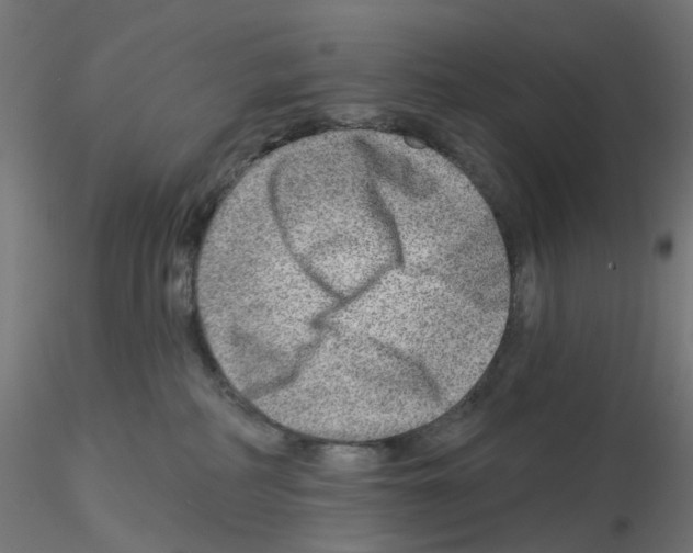 X0000115550234200912181600