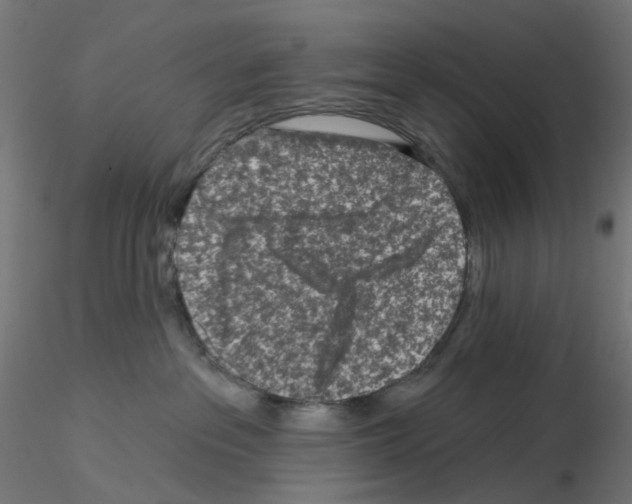 X0000115550237200912181600